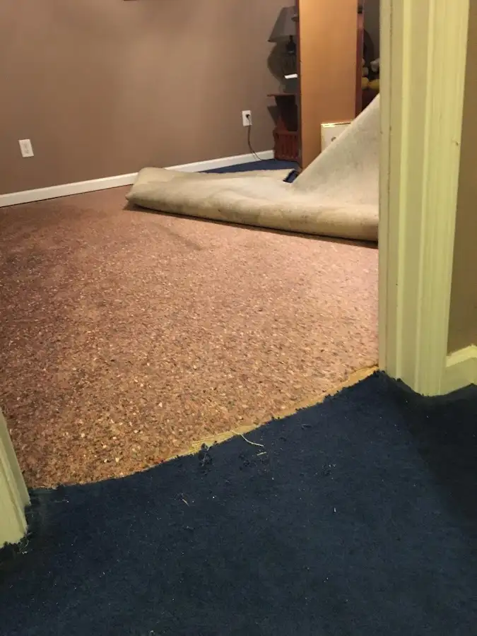 Carpet pad removal revealing water damage during Water Mitigation Services in Cheval
