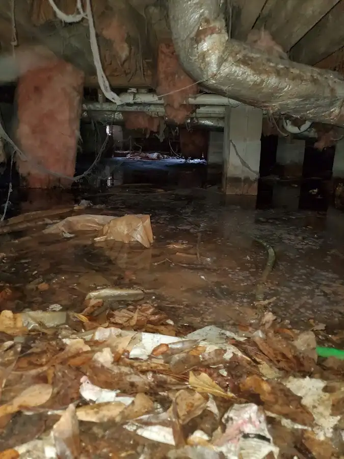 Crawl space flood assessment for Commercial Water Damage Restoration in Cheval